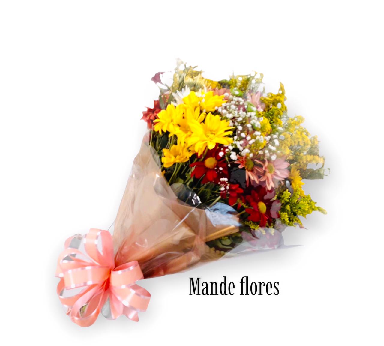 Flores do campo coloridas