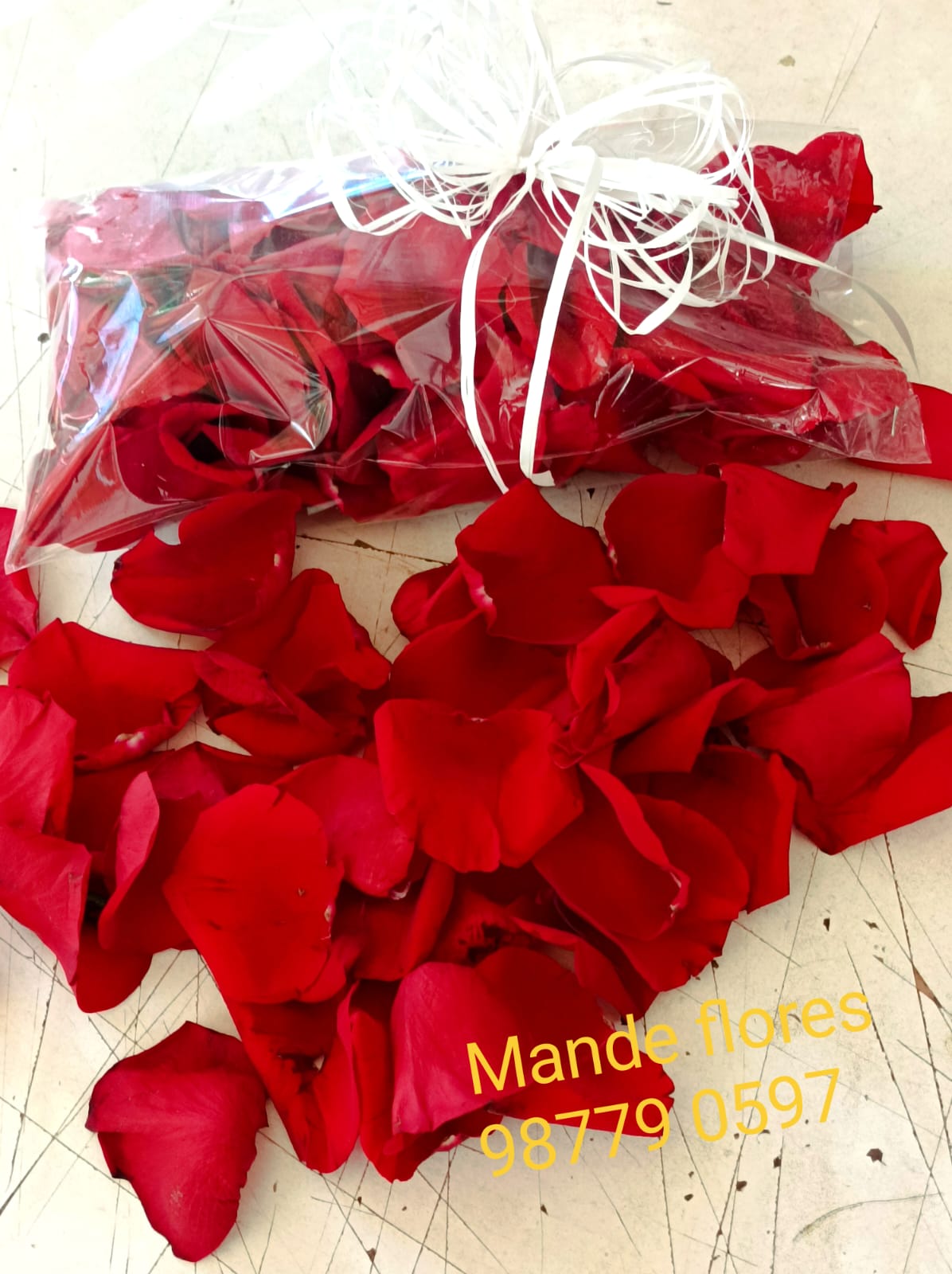 Pétalas de rosas